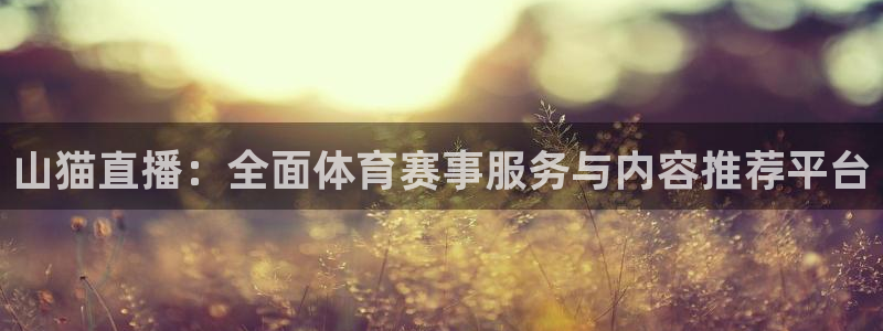 河豚体育直播nba