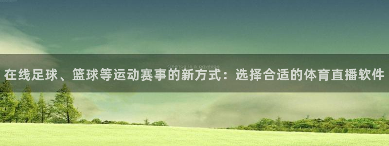 体育新闻
