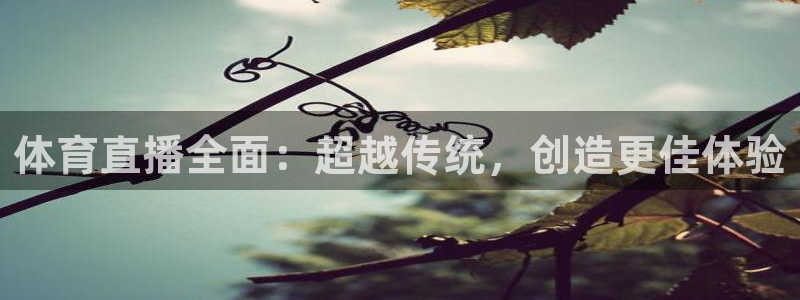 体育新闻