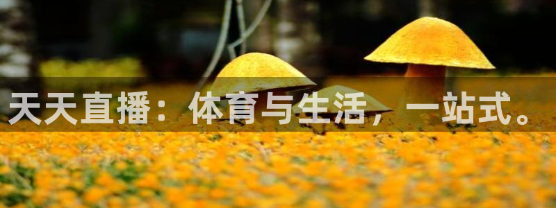 河豚在线
