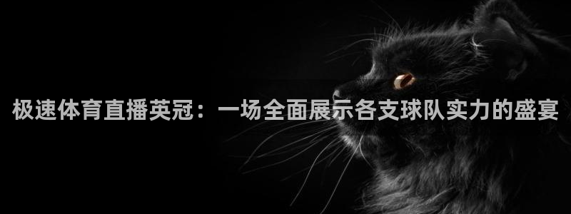 nba直播 河豚