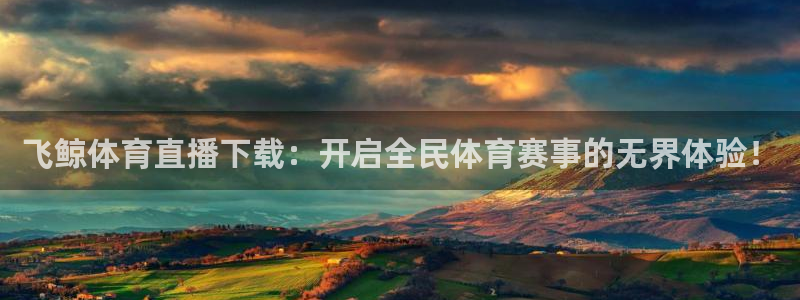 河豚nba直播app下载