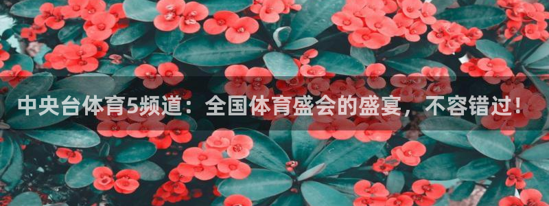 河豚体育
