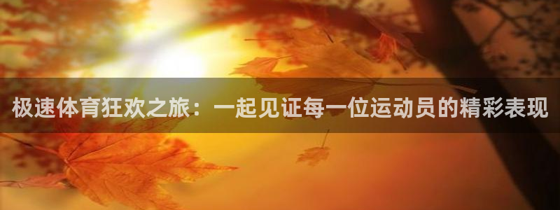 体育新闻