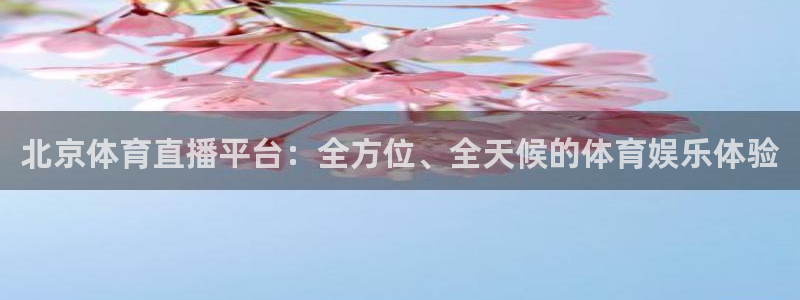 体育新闻